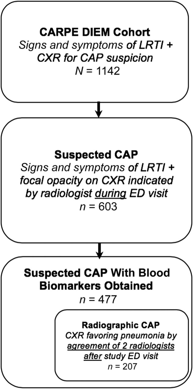 FIGURE 1