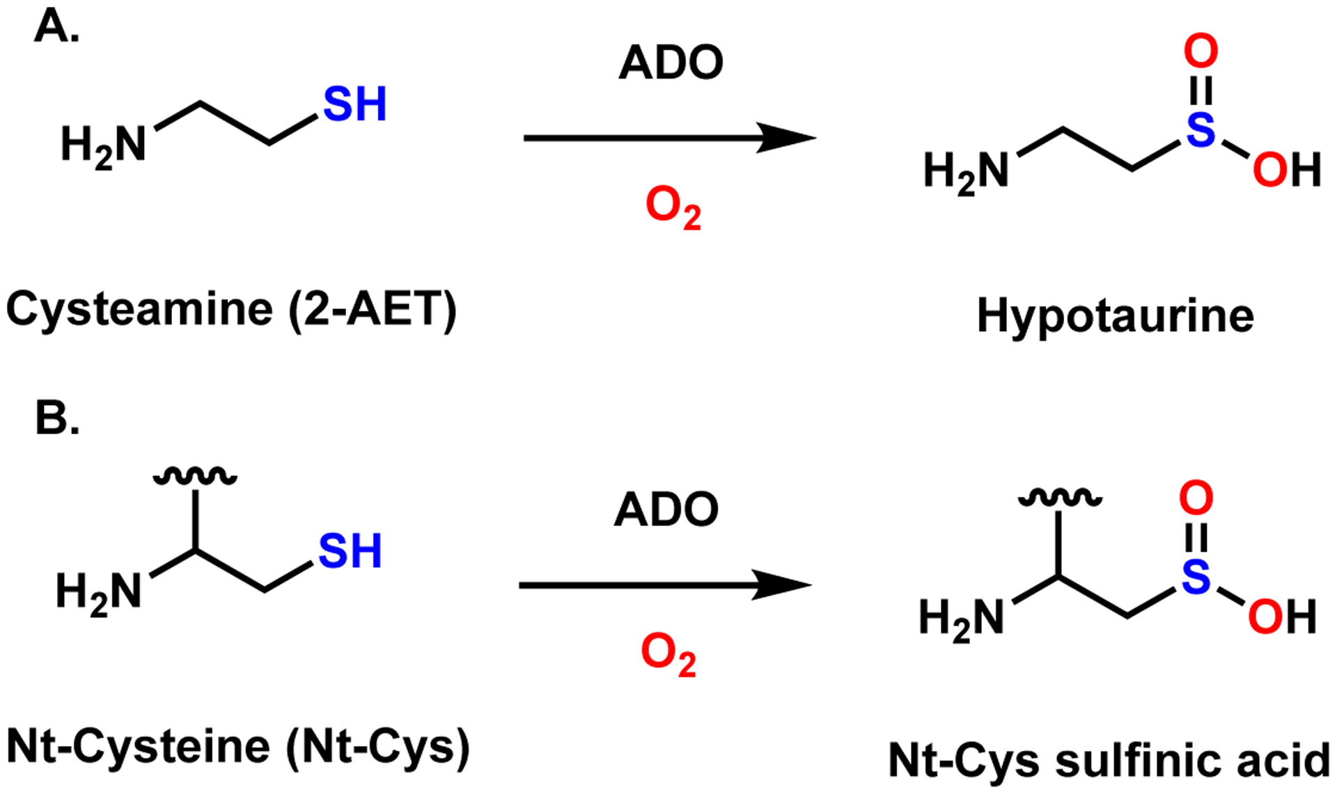 Scheme 1.