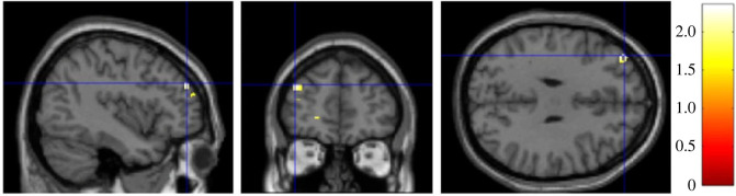 Figure 6. 