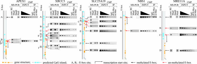 Fig. 4.