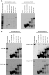 Figure 4—figure supplement 1.