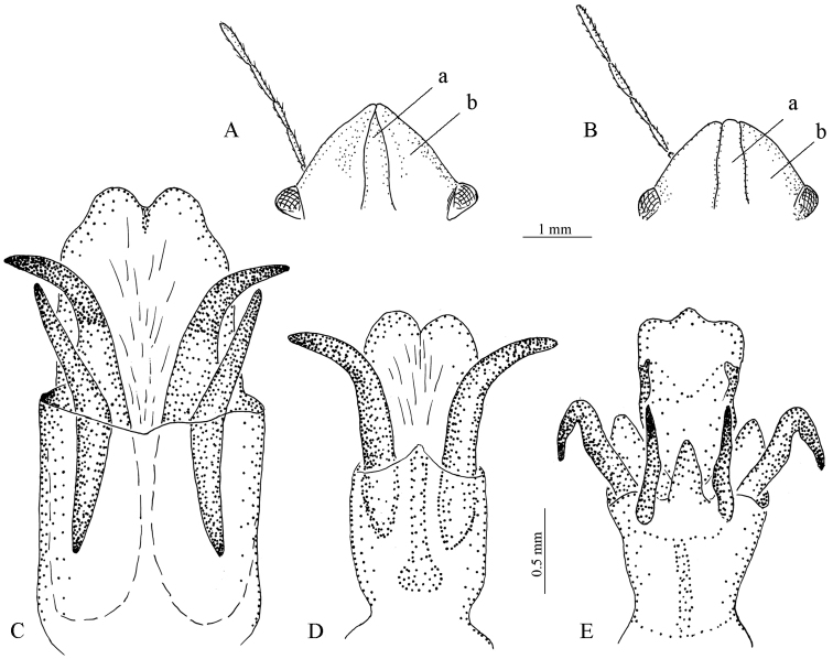 Figure 7.