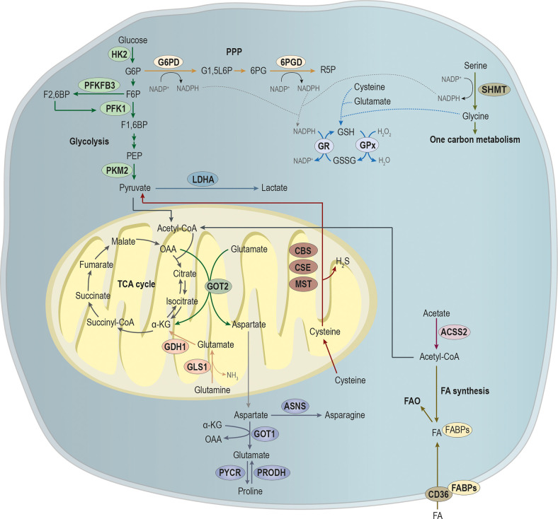 Figure 2