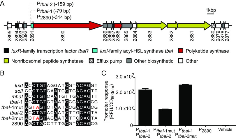 FIG 1