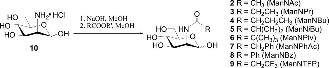 Scheme 2