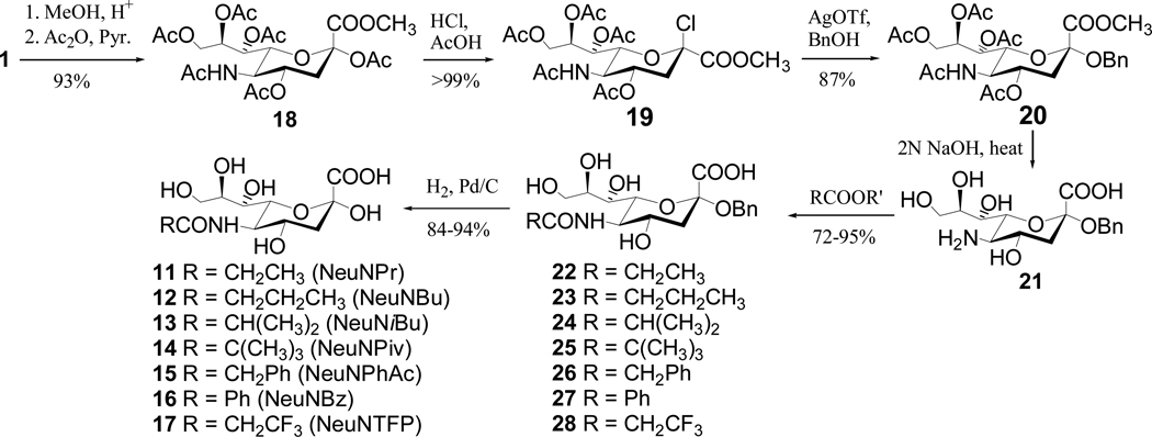 Scheme 3