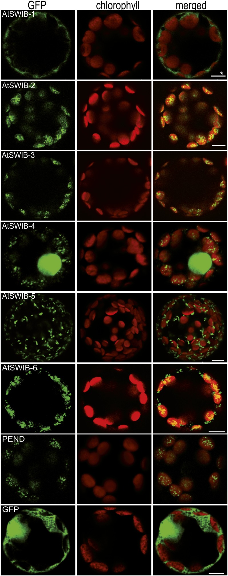 Figure 3.