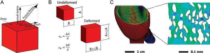 Figure 1.