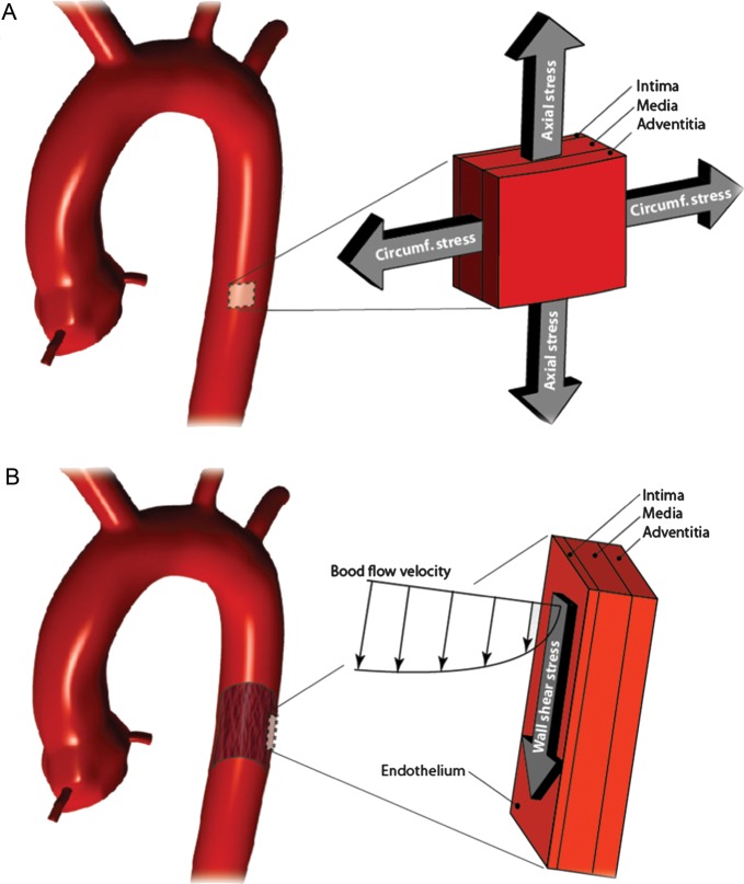 Figure 4.