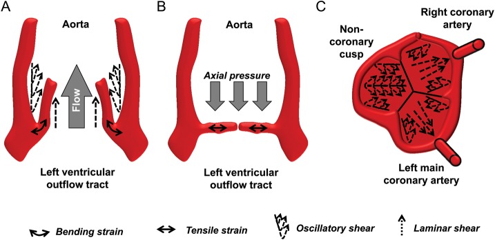 Figure 3.