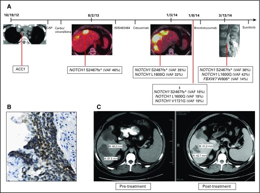 Fig 4.