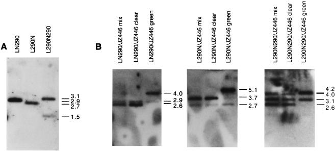 FIG. 7