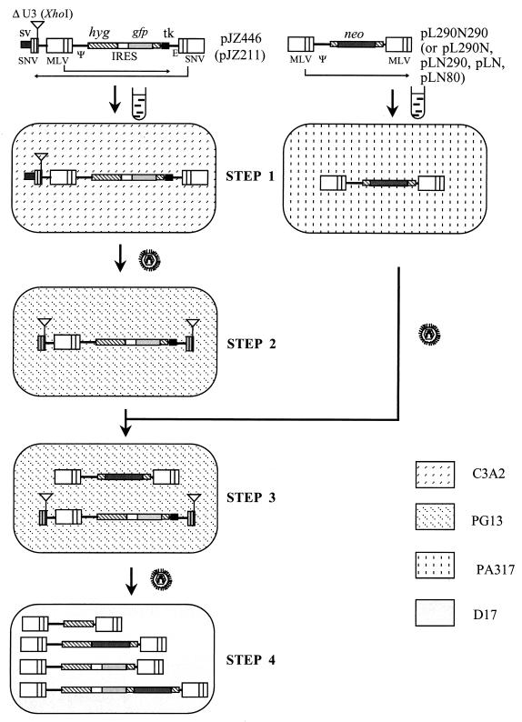 FIG. 4