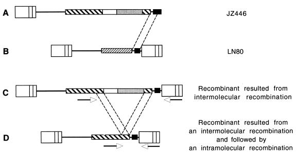 FIG. 6