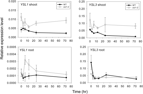 Figure 6.