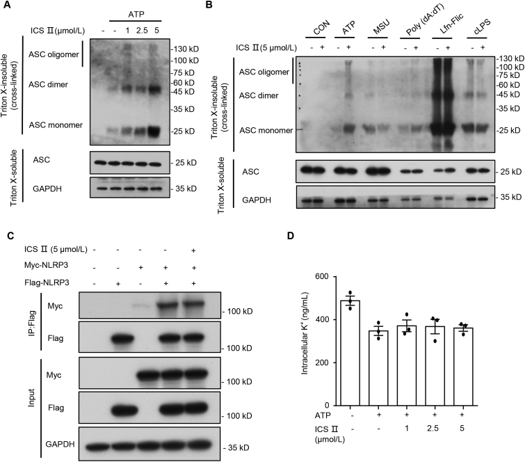 Figure 4