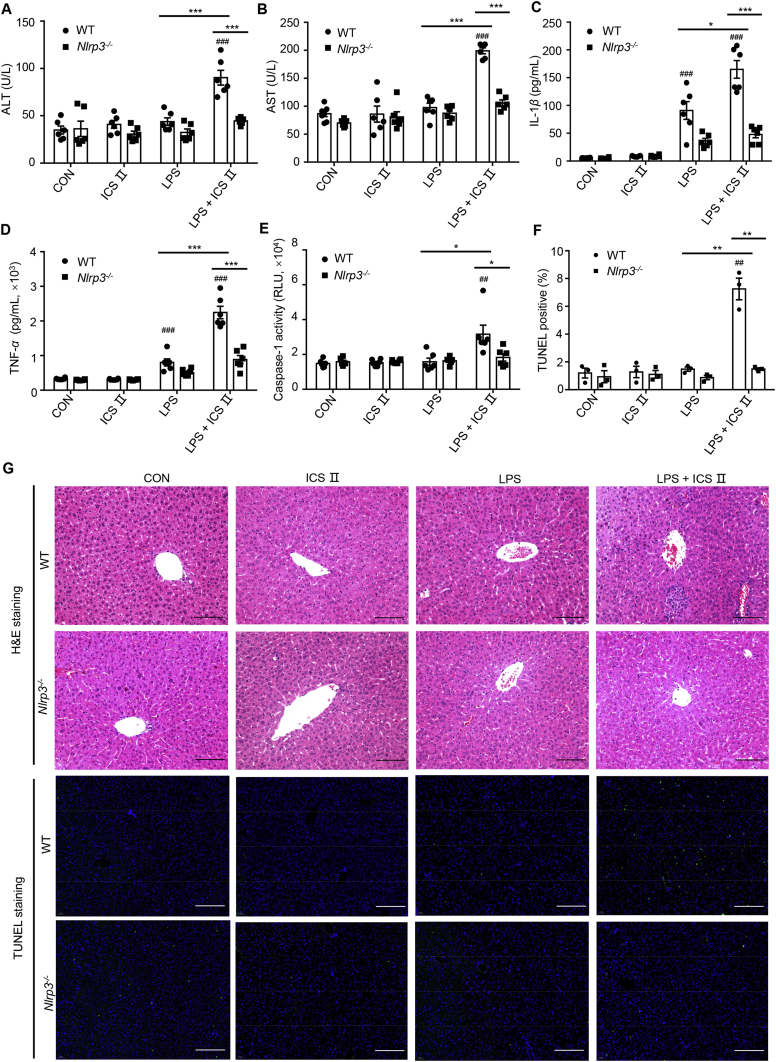 Figure 6