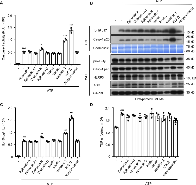 Figure 1