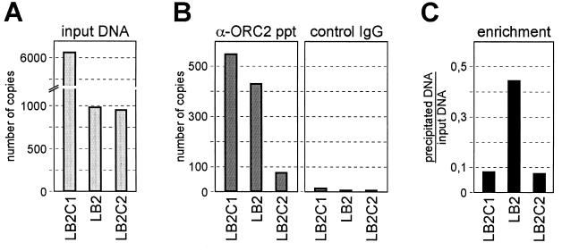 FIG. 8.