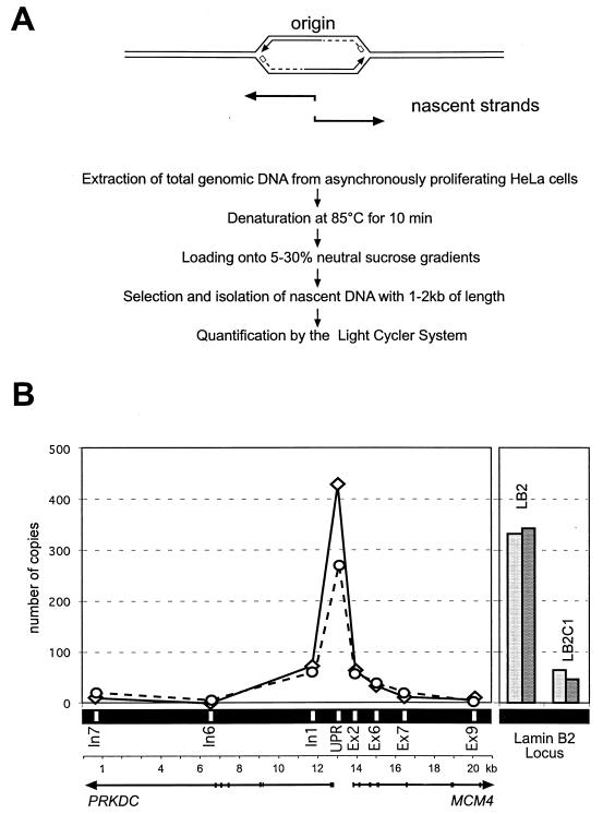 FIG. 7.