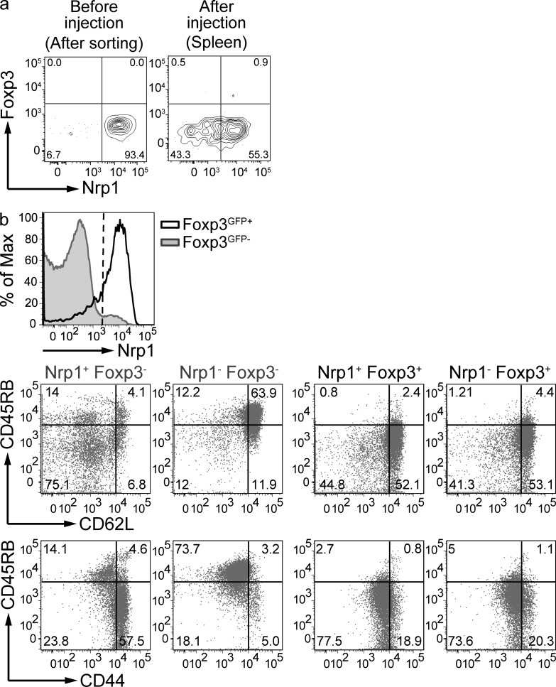 Figure 10.