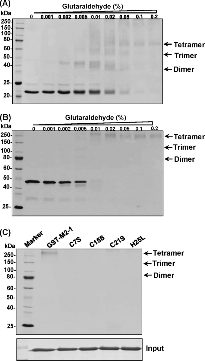 FIG 5