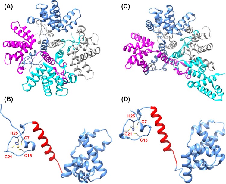 FIG 2