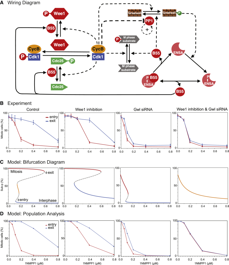 Figure 3
