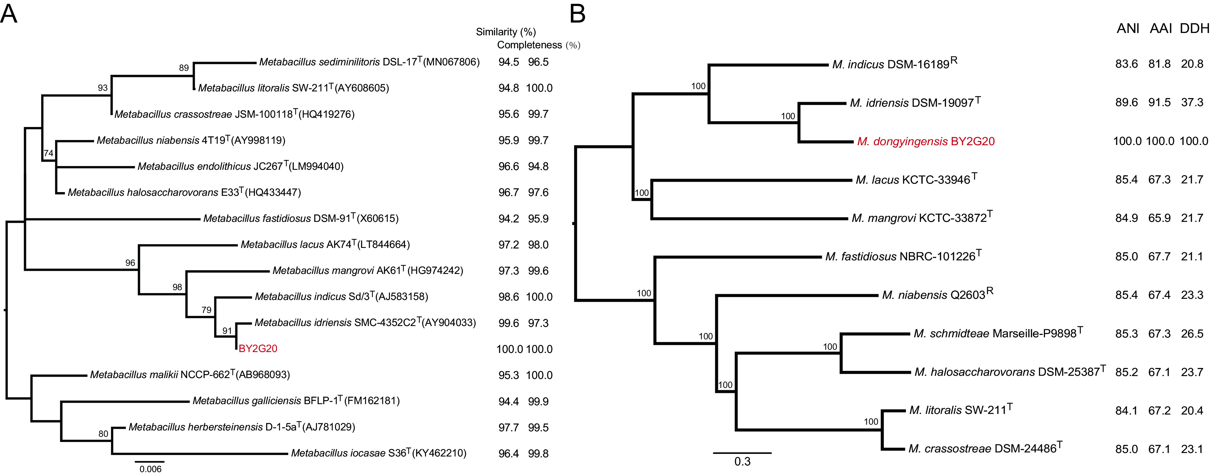 FIG 2