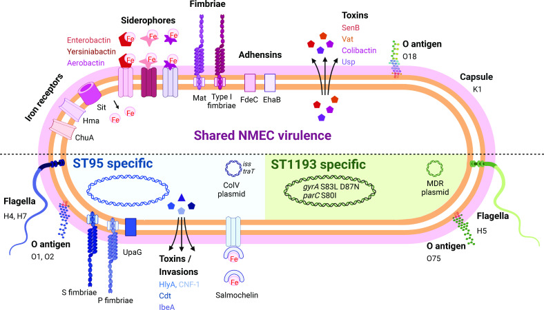 Figure 4.