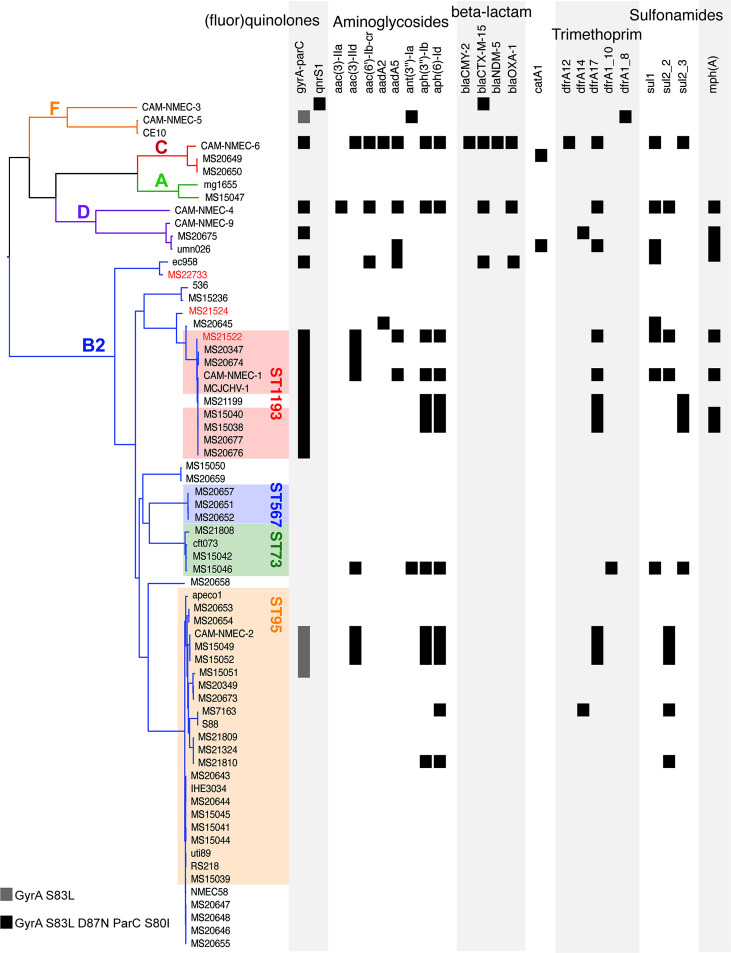 Figure 1—figure supplement 2.