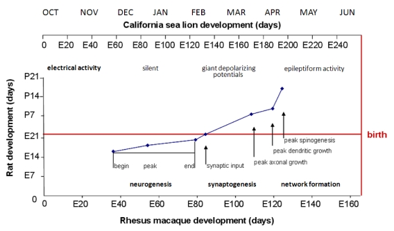 Figure 16