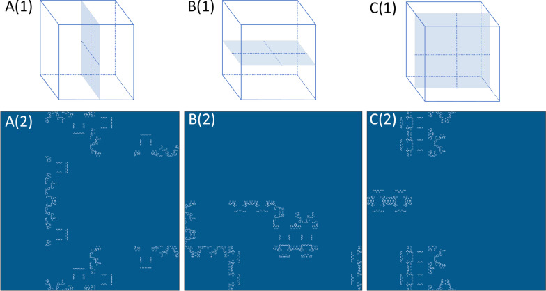 Fig. 5