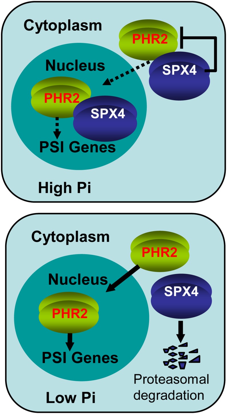 Figure 7.