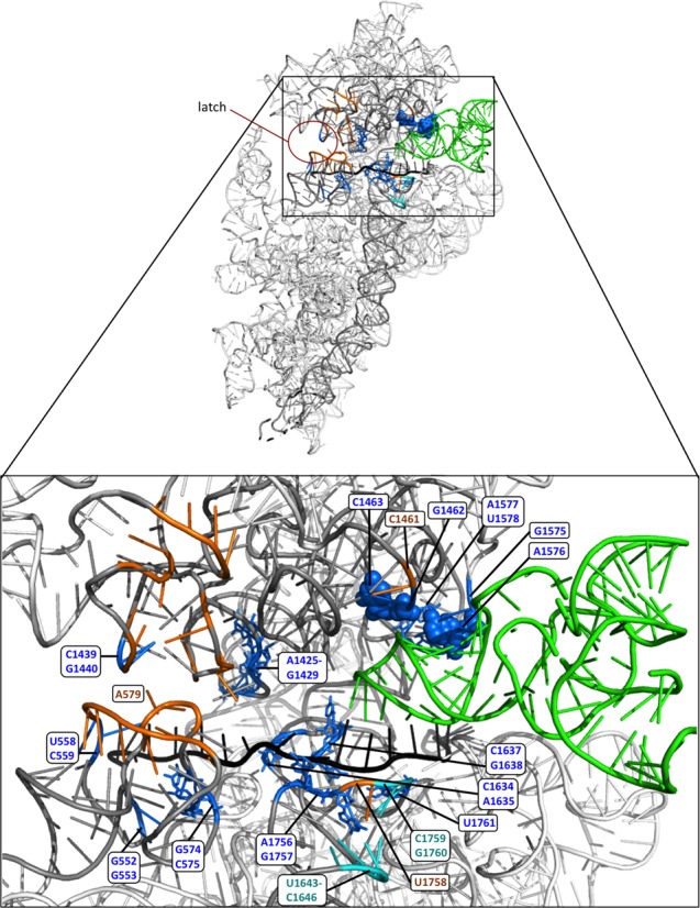 Figure 4.