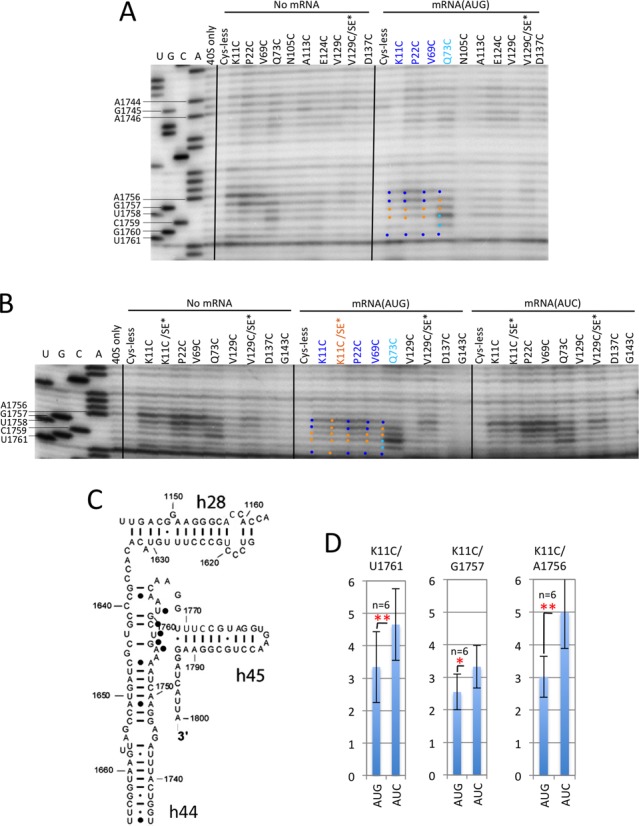 Figure 6.