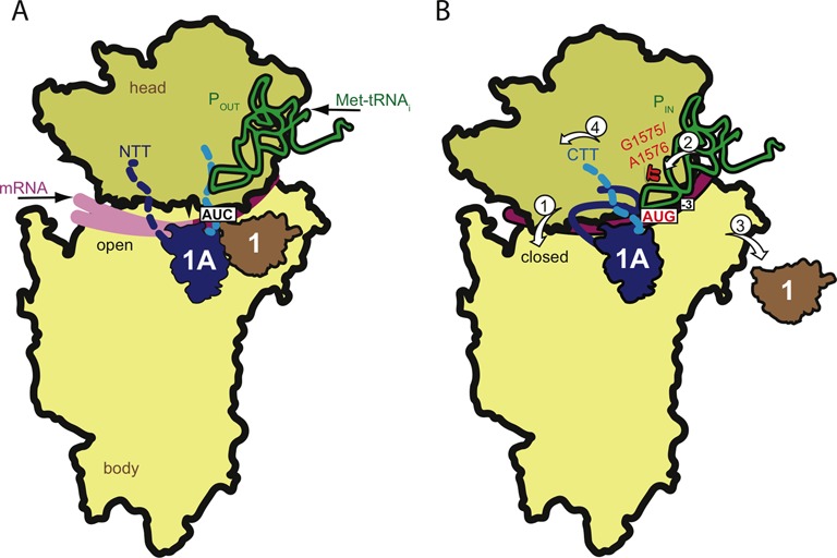 Figure 10.