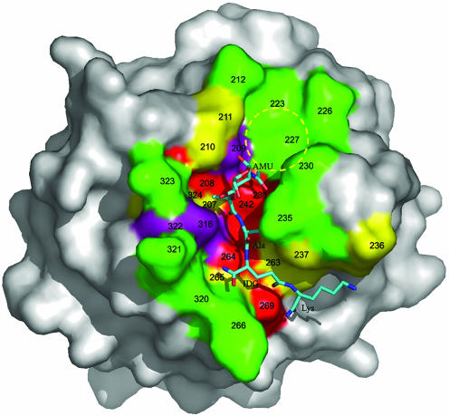 Fig. 4.