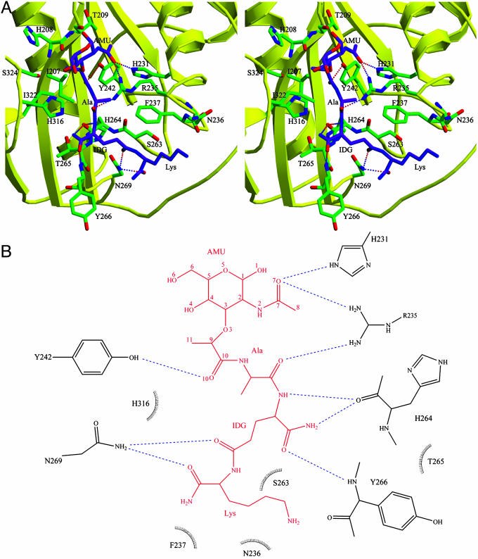 Fig. 3.