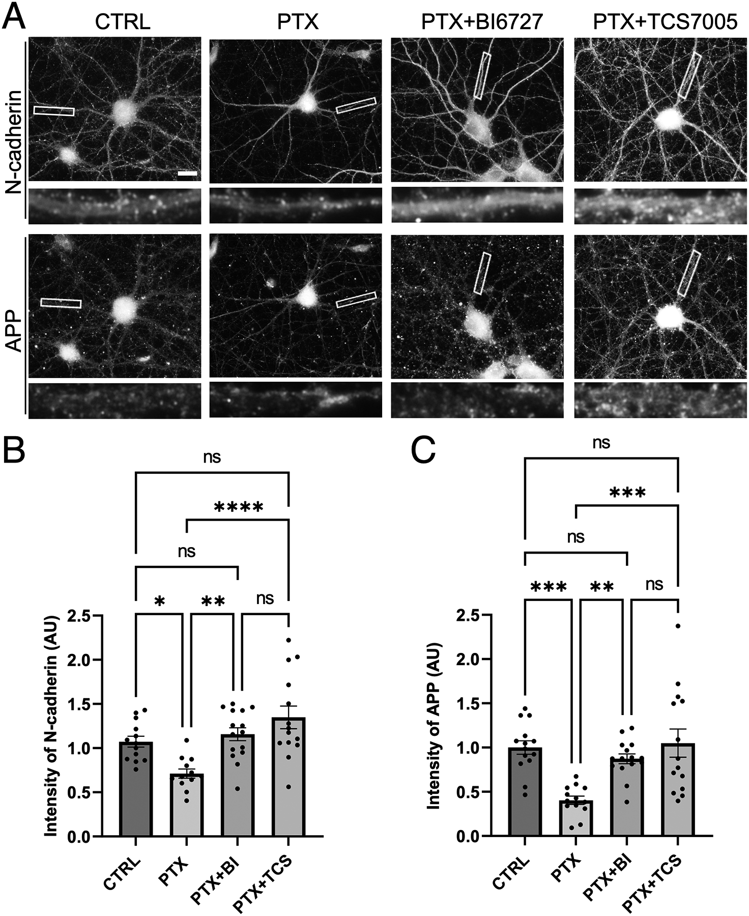 Figure 4.