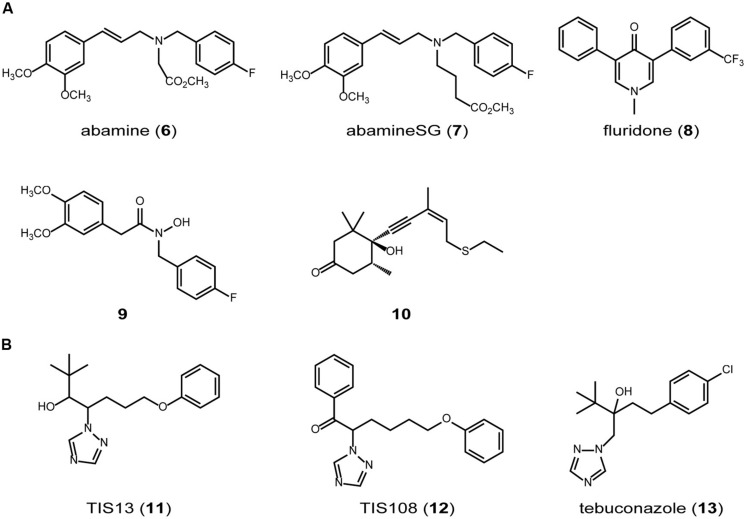 FIGURE 3