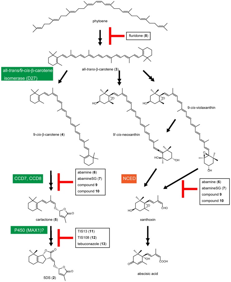 FIGURE 2