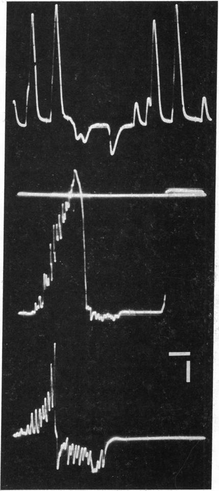 graphic file with name pnas00133-0021-a.jpg