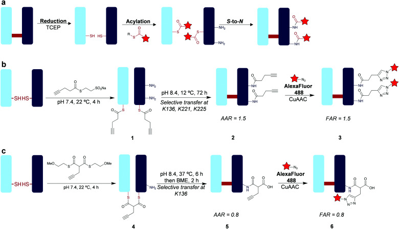 Scheme 10