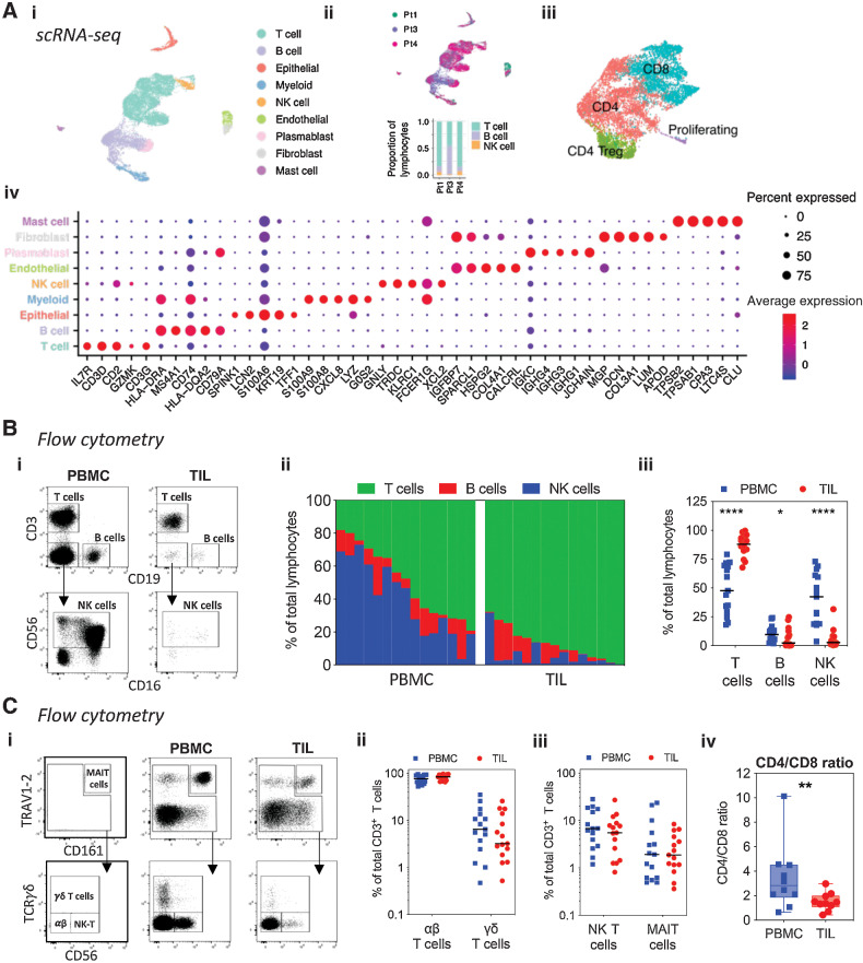 Figure 1. High-level cell type atlas of the PDAC tumor microenvironment. A, UMAP embedding of scRNA-seq data from 3 PDAC patient samples overlaid with high level cell type annotation (i). UMAP embedding overlaid with sample identification, and proportions of T, B, and NK cells identified in each sample (ii). UMAP embedding highlighting high level T-cell subsets (iii). Dotplot of the top markers expressed in each high-level cell type (iv). B, Representative plots showing T, B, and NK cell identification in matched PBMC and TIL from patients with PDAC by flow cytometry (i). Graphs showing proportions of T, B, and NK cells in PBMC and TIL (n = 15). Each bar in the waterfall plot represents a patient in (ii), and each dot represents a patient in (iii). C, Representative plots showing gating used to identify T-cell subsets in PBMC and TIL from patients with PDAC by flow cytometry (i). Quantification of αβ and γδ T cells (ii), and NKT and MAIT cells (iii) in PBMC and TIL (n = 15). Comparison of the CD4/CD8 T cell ratio between PBMC and TIL (n = 10) (iv). Horizontal lines represent median, boxes represent quartiles and whiskers represent min and max values. Data analyzed using Wilcoxon matched-pairs signed rank test. *, P < 0.05; **, P < 0.01; ****, P < 0.0001.