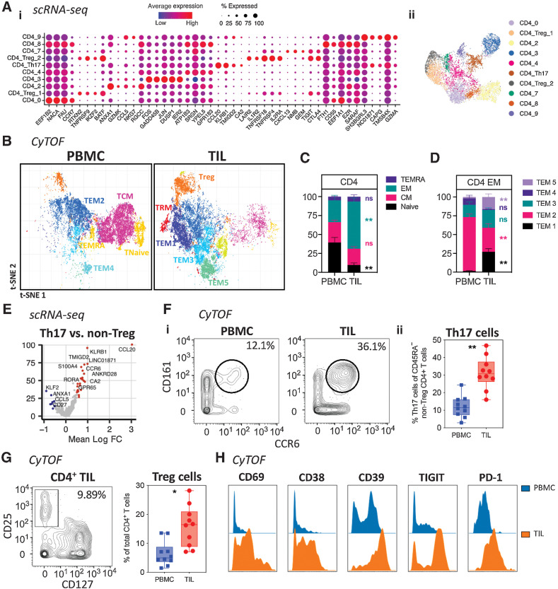 Figure 2. Characterization of CD4+ T-cell populations within the PDAC tumor microenvironment. A, Dotplot of the top markers expressed in each CD4+ T-cell cluster identified via Louvain clustering of scRNA-seq data from CD4+ T cells from 3 PDAC tumor tissue samples (i). Where identifiable in the data, clusters are annotated with known CD4+ T-cell phenotypes. UMAP embedding of CD4+ T cells overlaid with Louvain cluster labels (ii). B, A 35-parameter CyTOF analysis of CD45+ cells from PDAC patient PBMC and TIL (n = 10). t-SNE plots shows Phenograph-clustered CD4+ T-cell populations in PBMC and TIL. C, Stacked bar graph showing the proportion of Naïve, EM, CM, and TEMRA subsets in CD4+ T cells generated from the data in (B). D, Bar graph comparing the proportion of each annotated CD4+ EM subset (TEM1-5) in PBMC vs. TIL, generated using the data in (B). E, Differential expression analysis distinguishing CD4+ Th17 from other non-Treg CD4+ T-cells in scRNA-seq data, first presented in Fig. 1. Selected genes are labelled, and colored points indicate genes that are differentially expressed [BH adjusted P < 0.01 and absolute (average logFC) > 0.5]. F, Quantification of CD4+ Th17 based on dual expression of CCR6 and CD161, performed using the data in (B). Representative contour plots comparing Th17 in PBMC and TIL (i). Box and whisker plot comparing the proportion of Th17 among total memory (CD45RA–) non-Treg CD4+ T-cells in PBMC and TIL (ii). G, Quantification of CD4+ Treg cells based on expression of CD25 and CD127, generated using the data in (B). Representative contour plot of Treg cells (CD25+CD127low) from PDAC TIL (i). Box and whisker plot comparing the proportion of Th17 cells in PBMC and TIL (ii). H, Histograms comparing expression levels of activation and differentiation markers on total Tregs from PBMC and TIL, generated using the data in (B). Horizontal lines represent median, boxes represent quartiles and whiskers represent min and max values. Data analyzed using Wilcoxon matched-pairs signed rank test. CyTOF comparisons analyzed using Wilcoxon matched-pairs signed rank test. *, P < 0.05; **, P < 0.01.