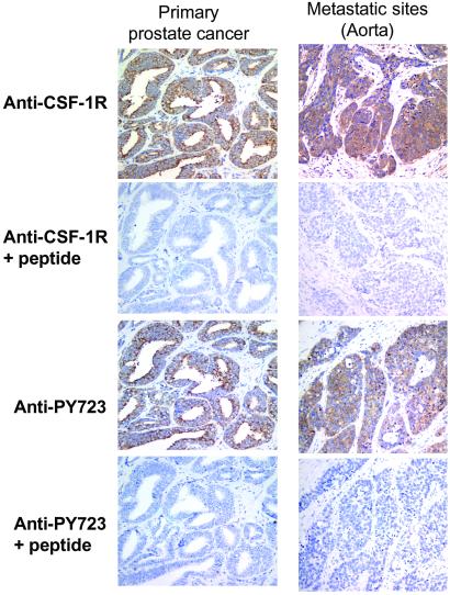 Fig 6.