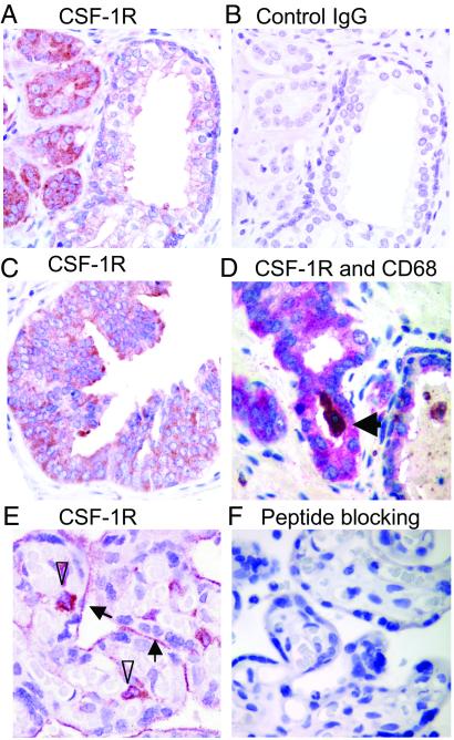 Fig 4.