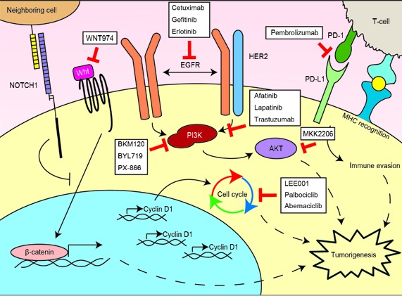 Figure2