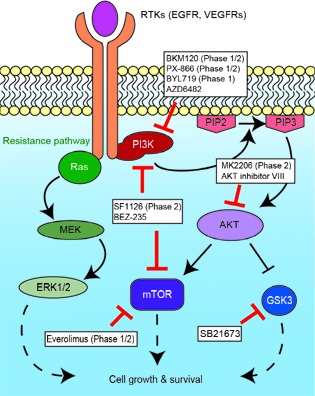 Figure1